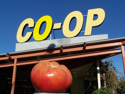 davis_food_co-op