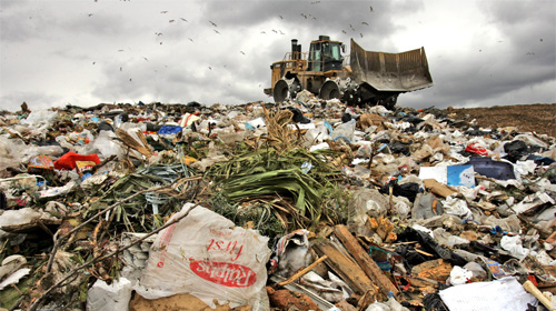 Plastic Bag Bans: The Trend That Can't Stop, Won't Stop