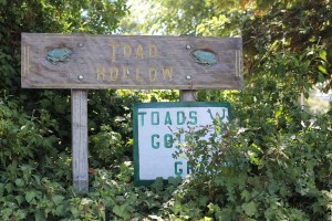 toad-tunnel