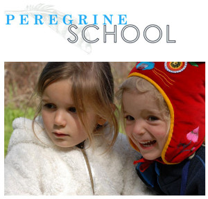 Peregrine-School