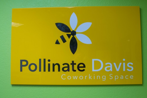 Pollinate-6