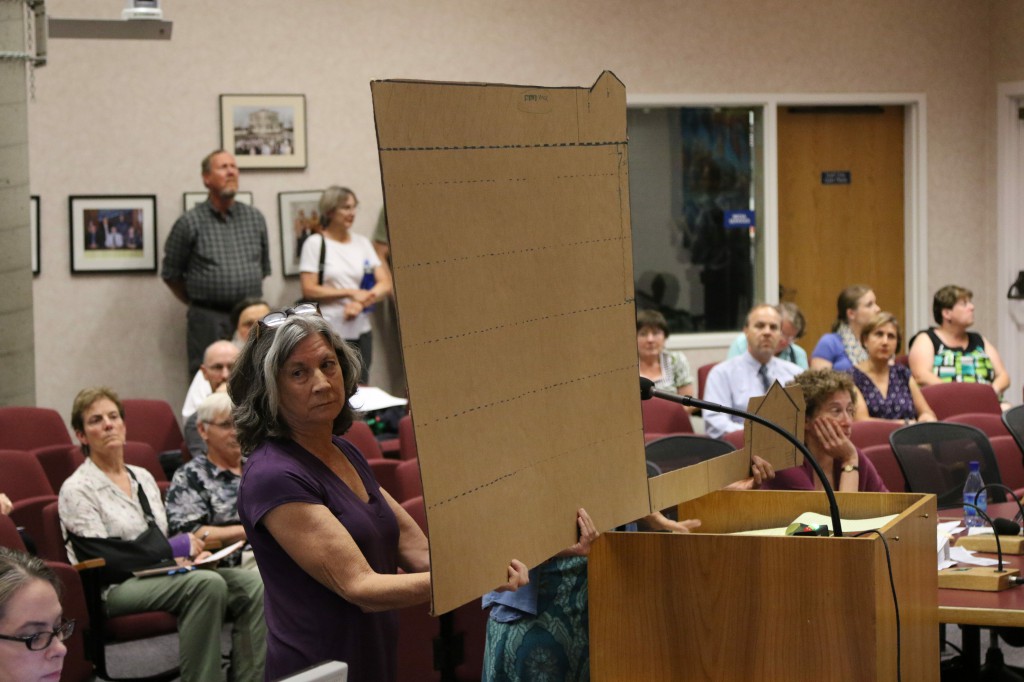 Valerie Jones and Cathy Forcas brought their own prop showing the disproportionate size of the proposed development