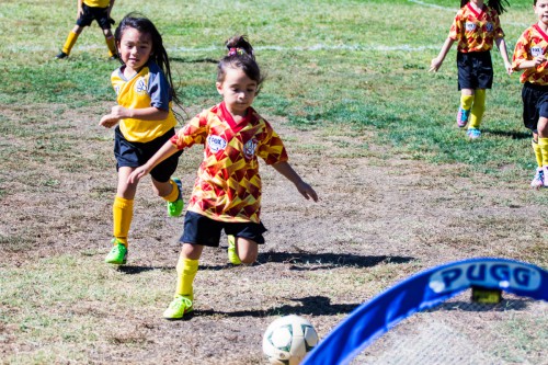 My daughter scores a goal this weekend playing on a makeshift soccer field at Davis Community Park