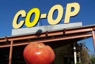 Termination of Co-op GM Contract Leads to Questions, Calls to Remove Board