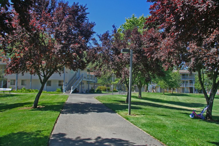 photo of solano park