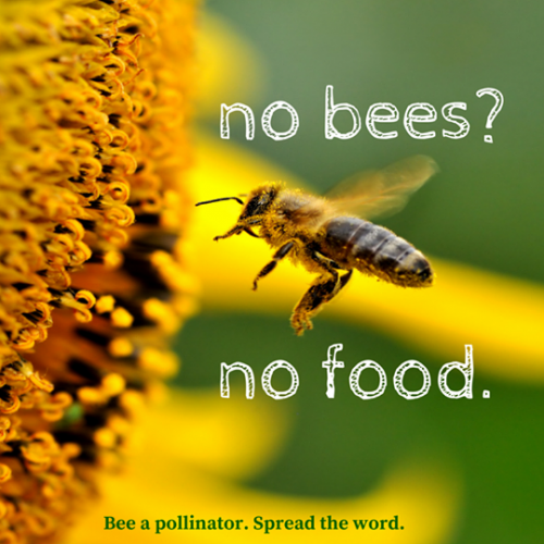 No-Bees-No-Food-Stop-Bee-Killing-Pesticides