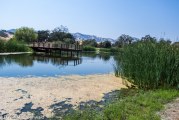 County Issues Notice of Preparation for Field & Pond EIR