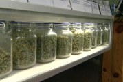 A Dispensary Pushes Back against City Staff Ranking