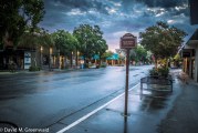 Become a Vanguard Subscriber and Enter to Win the Photo – “Davis Downtown”