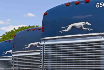 Greyhound’s Role in Border Patrol Abuse