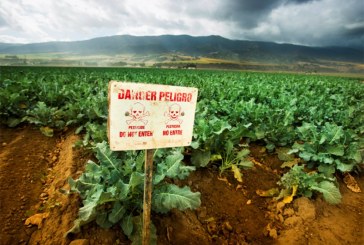 Gov. Newsom Bans Use of Brain-Damaging Pesticide in California