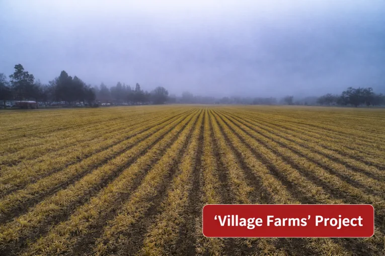 Saturday Commentary: When Every Failure Has a Name but No Structure