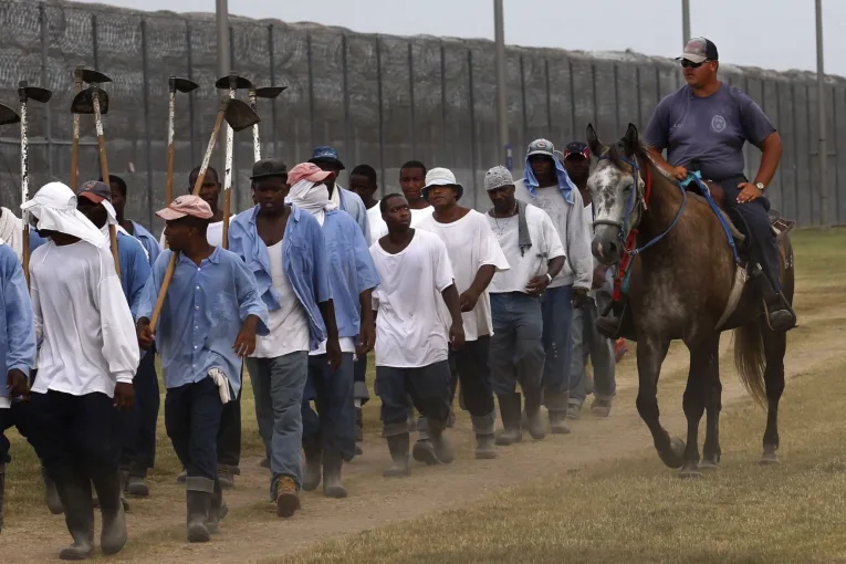 The Plantation Never Closed