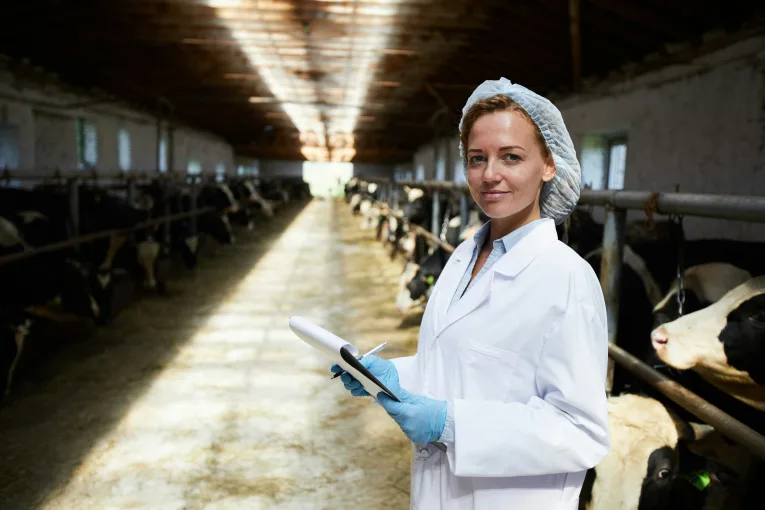 Every Regulation Is Written in Blood