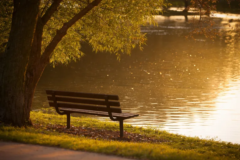 Meditations: Can we change the basic course of man?