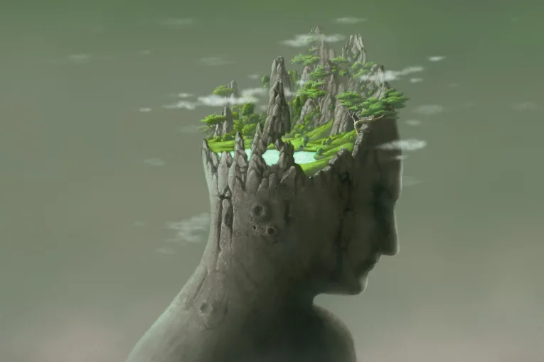 The Exapted Human Brain