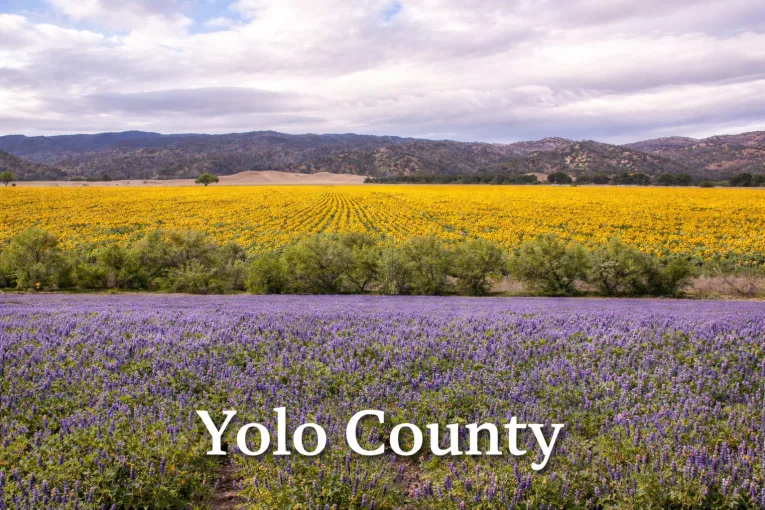 Letter: Yolo County’s Site Plan Review Contradicts California Environmental Law