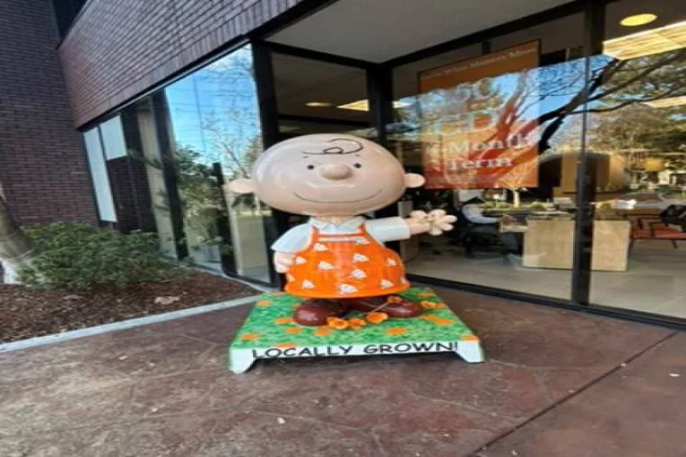 Mother Beats Child’s Attorney in Battle to Keep Court Records Public